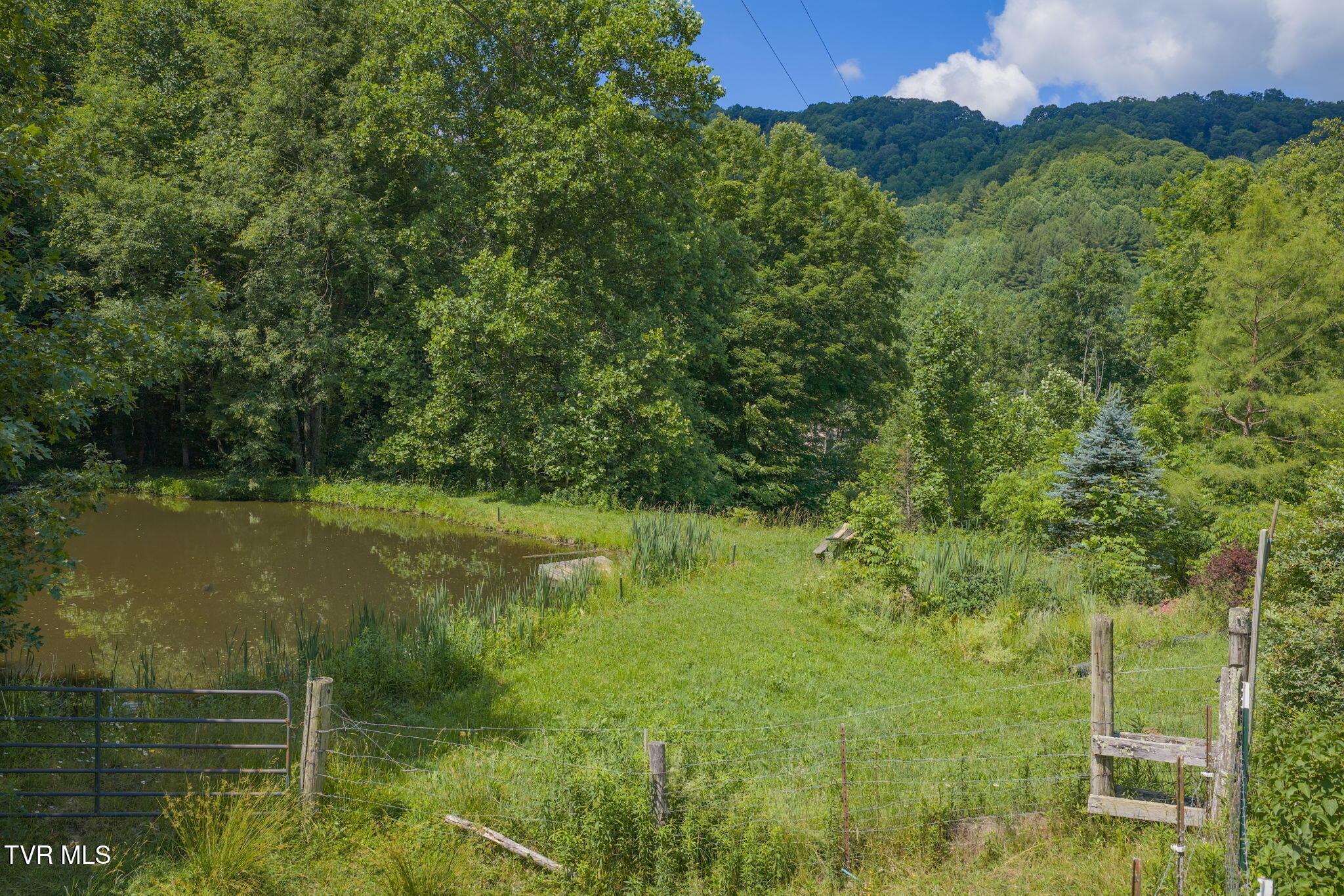 120 Teaberry Road Roan Mountain, TN 37687 - Photo 28 of 56 27-web-or-mls-DJI_20260612112526_0272_D