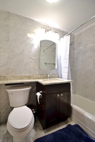 400 East Randolph Street, Unit 3201 Chicago, IL 60601 - Photo 3 of 17