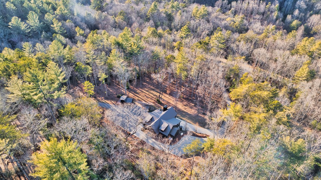 323 Stanley Creek Road Blue Ridge, GA 30513 - Photo 77 of 82 Gallery Image 77