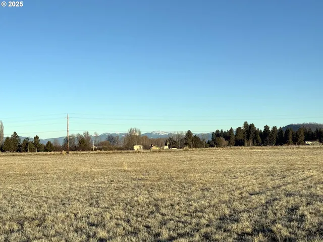 a view of a field with trees in background