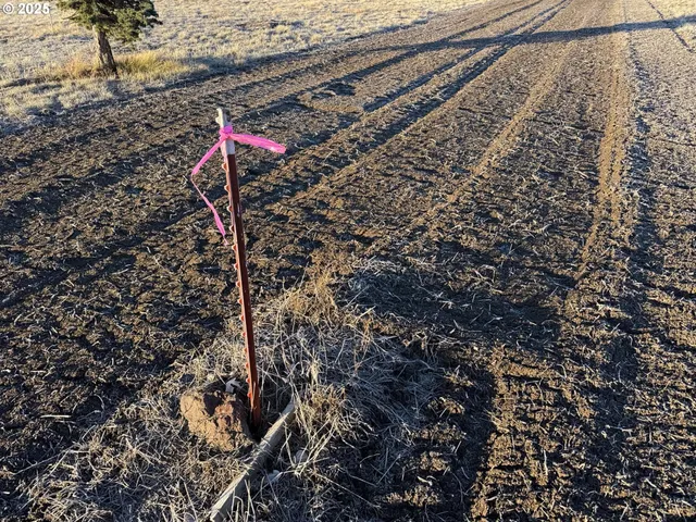a close up of a shower