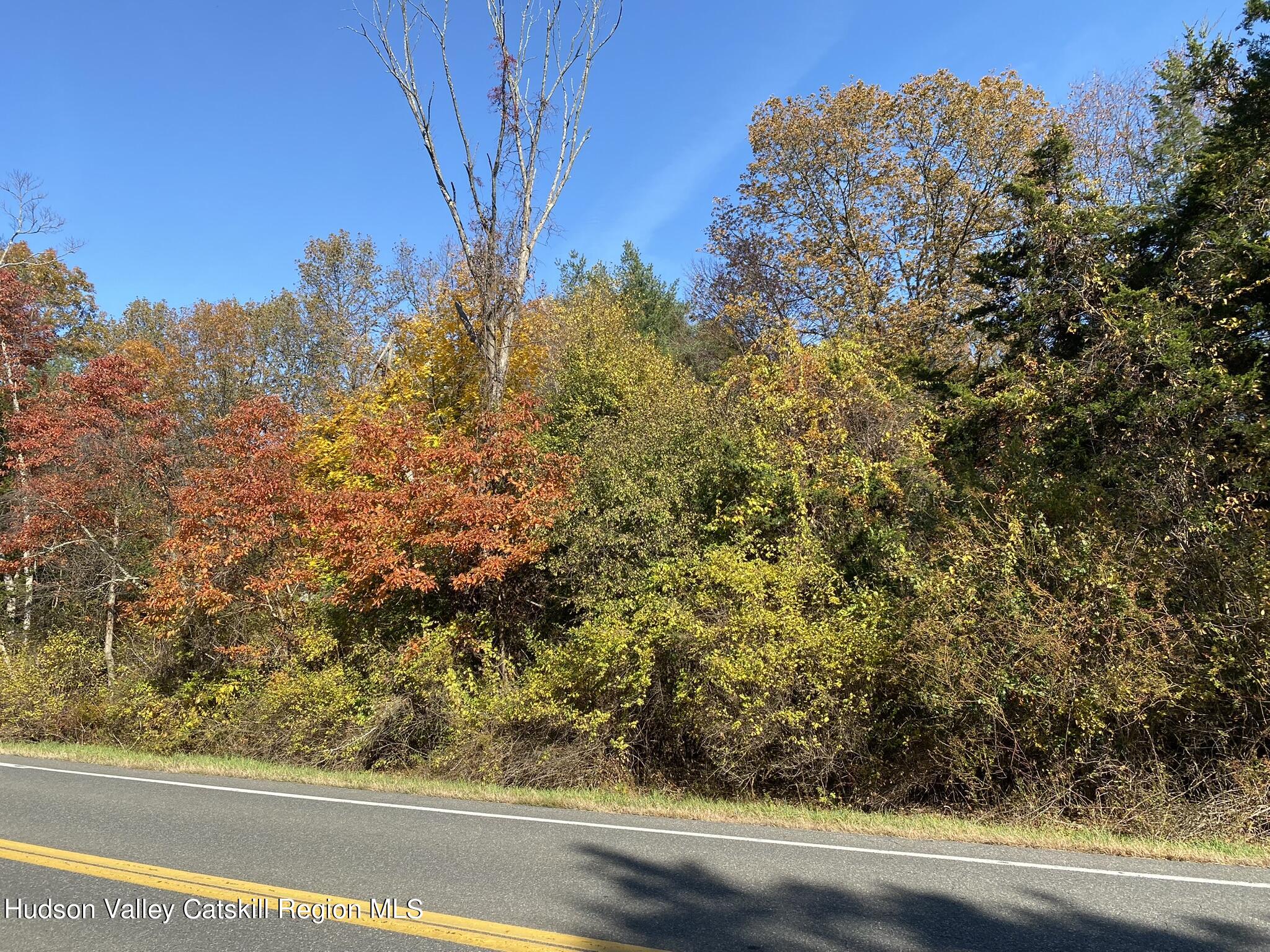 0 Beaver (jackson Crs) Rd Pine Plains Red Hook, NY 12571 - Photo 2 of 7