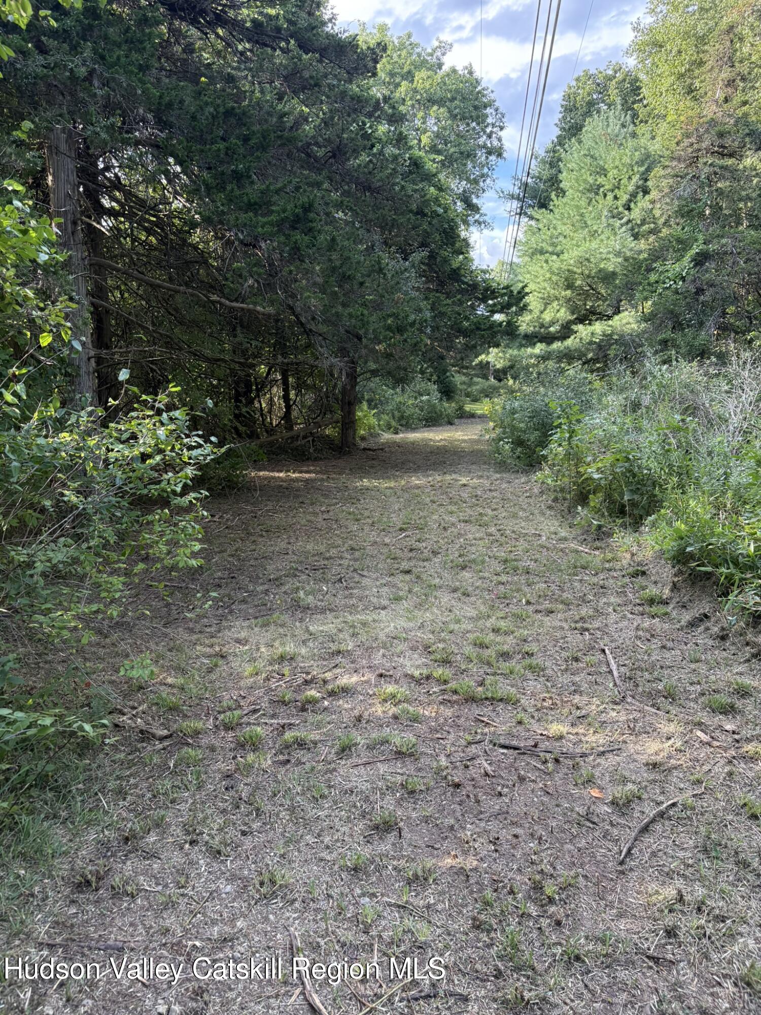 0 Beaver (jackson Crs) Rd Pine Plains Red Hook, NY 12571 - Photo 4 of 7 a view of a dry yard with trees