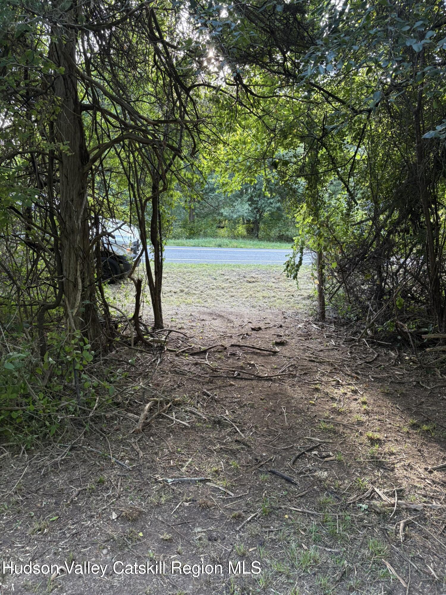 0 Beaver (jackson Crs) Rd Pine Plains Red Hook, NY 12571 - Photo 7 of 7 a view of a yard with a tree