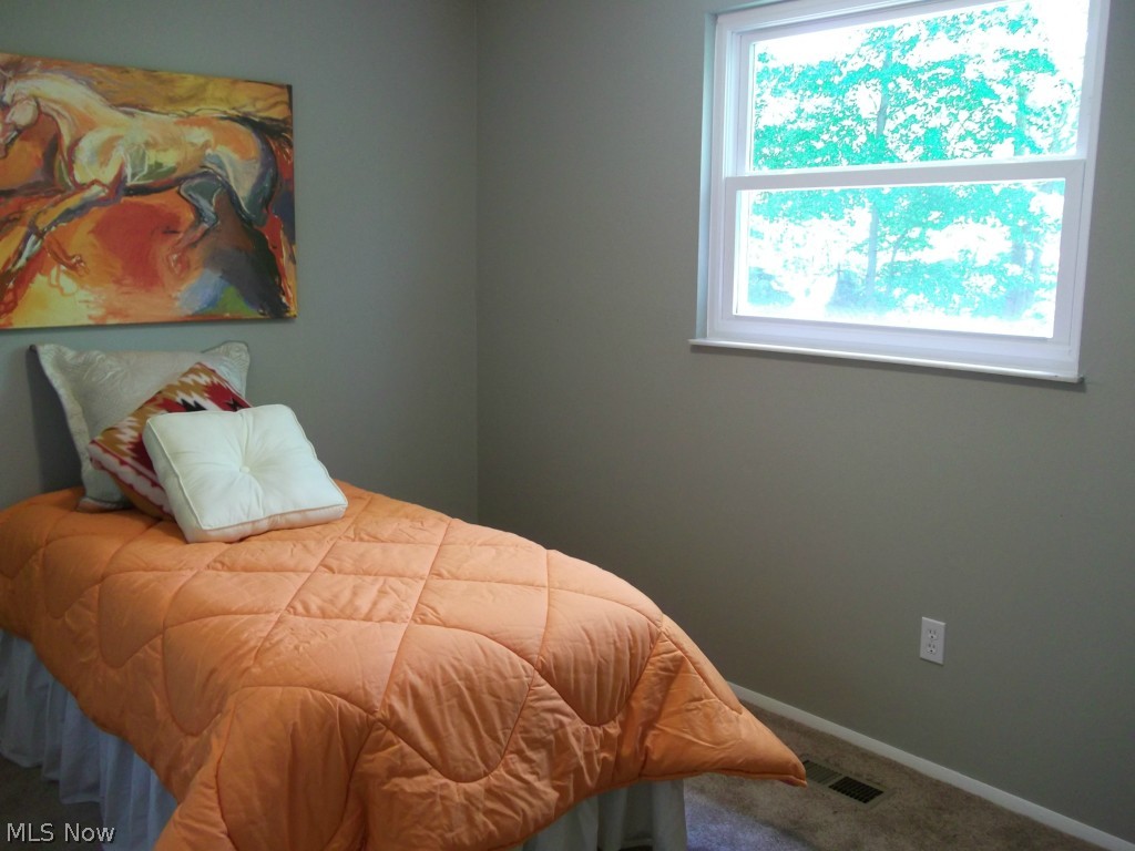 6959 Kirk Road Canfield, OH 44406 - Photo 13 of 21 Gallery Image 13
