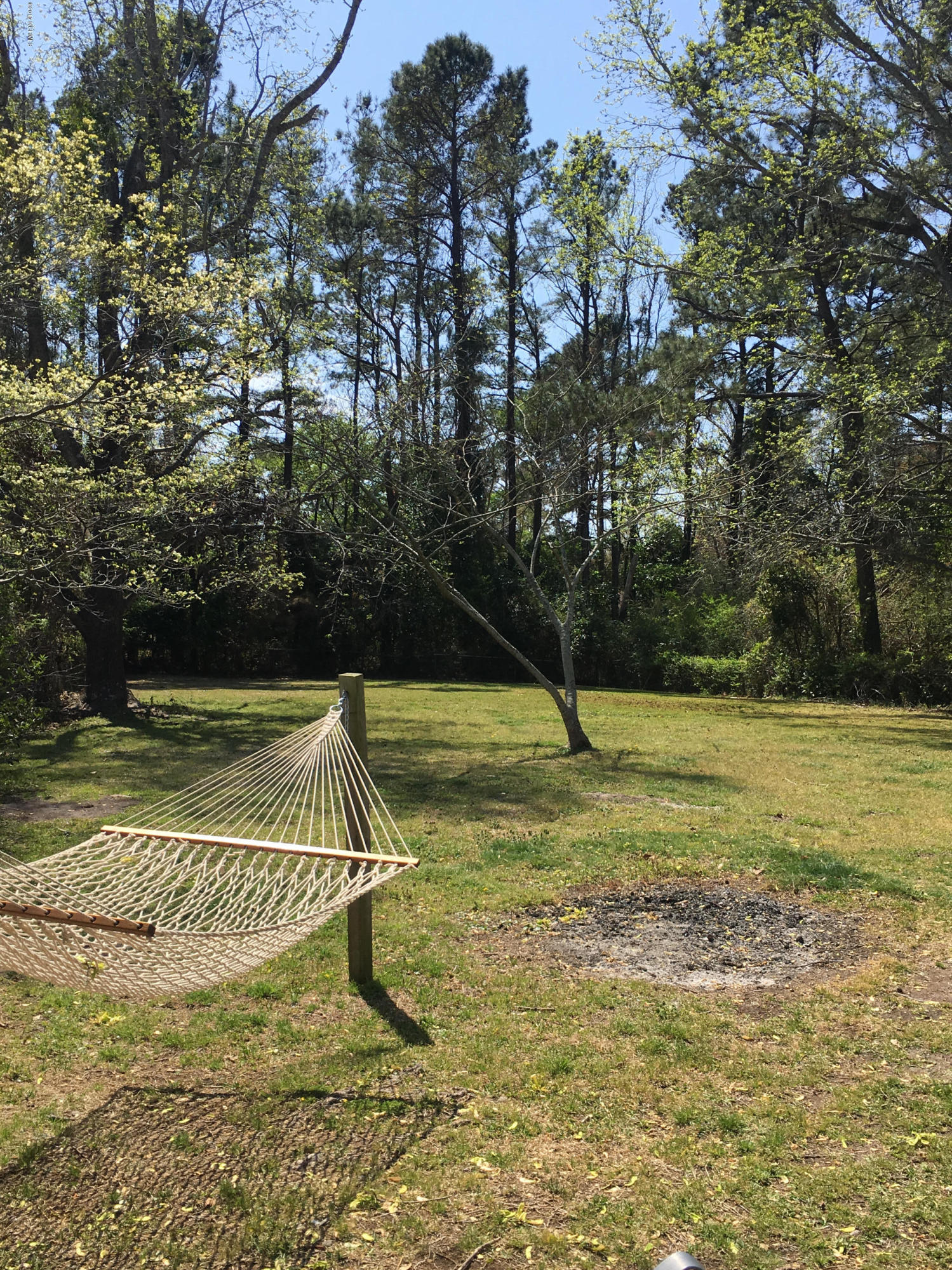 4522 Bramton Road Wilmington, NC 28405 - Photo 16 of 17 Hammock Backyard