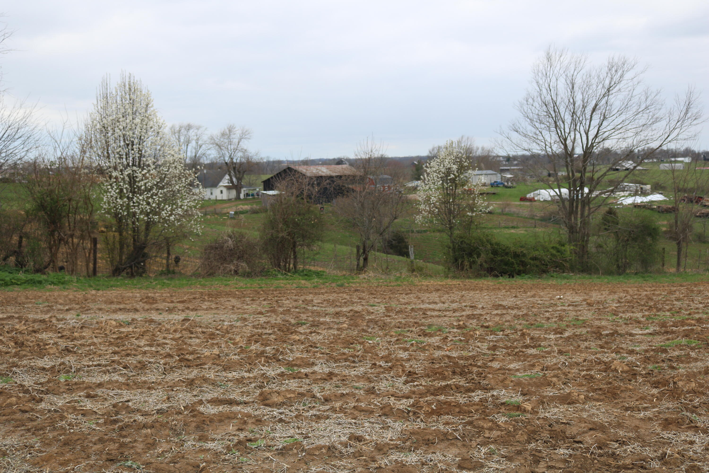 5807 Moorefield Road Carlisle, KY 40311 - Photo 44 of 60 IMG_3027