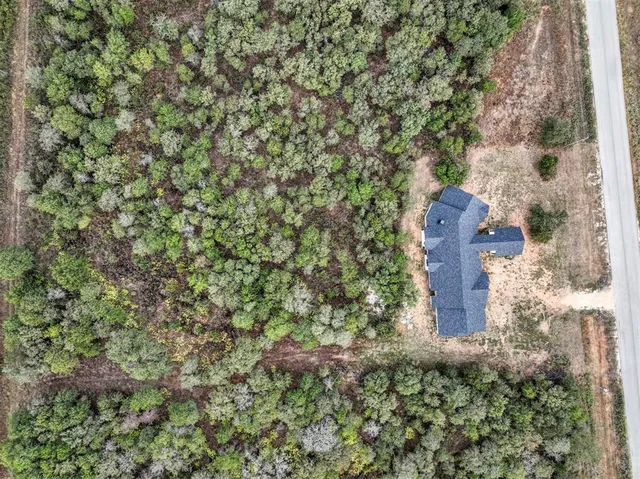 an aerial view of a house with a yard and large tree