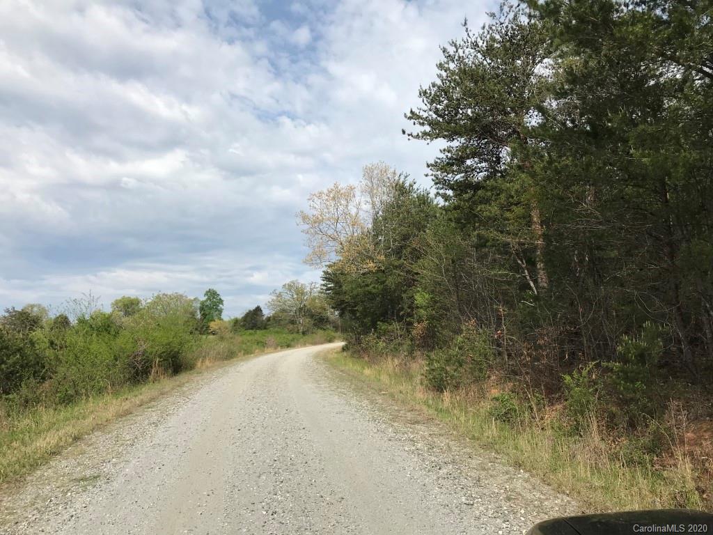 303 Hollifield Road Bostic, NC 28018 - Photo 11 of 13 a view of a yard with plants and trees