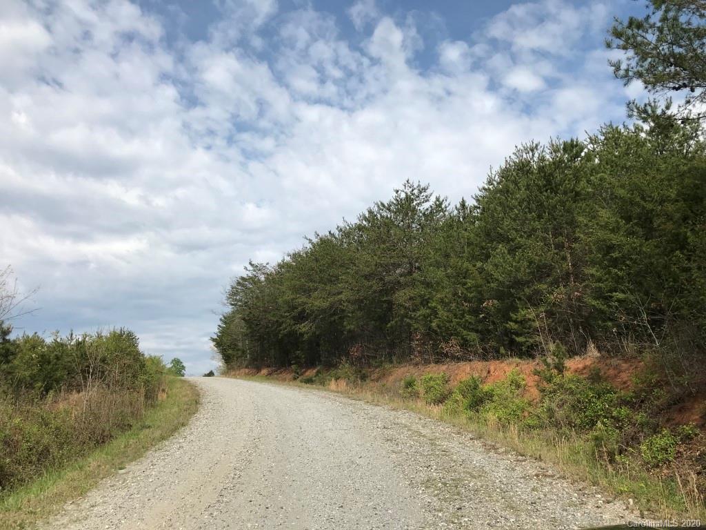 303 Hollifield Road Bostic, NC 28018 - Photo 10 of 13 a view of a yard