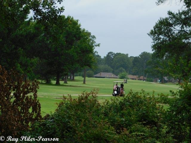 8020 Pines Road Shreveport, LA 71129 - Photo 14 of 24 View of golf course from your private balcony deck.