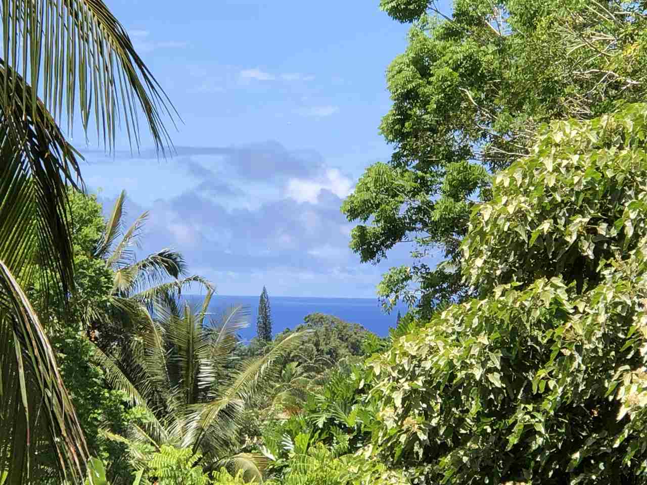 19 Door Of Faith Road Haiku, HI 96708 - Photo 2 of 30