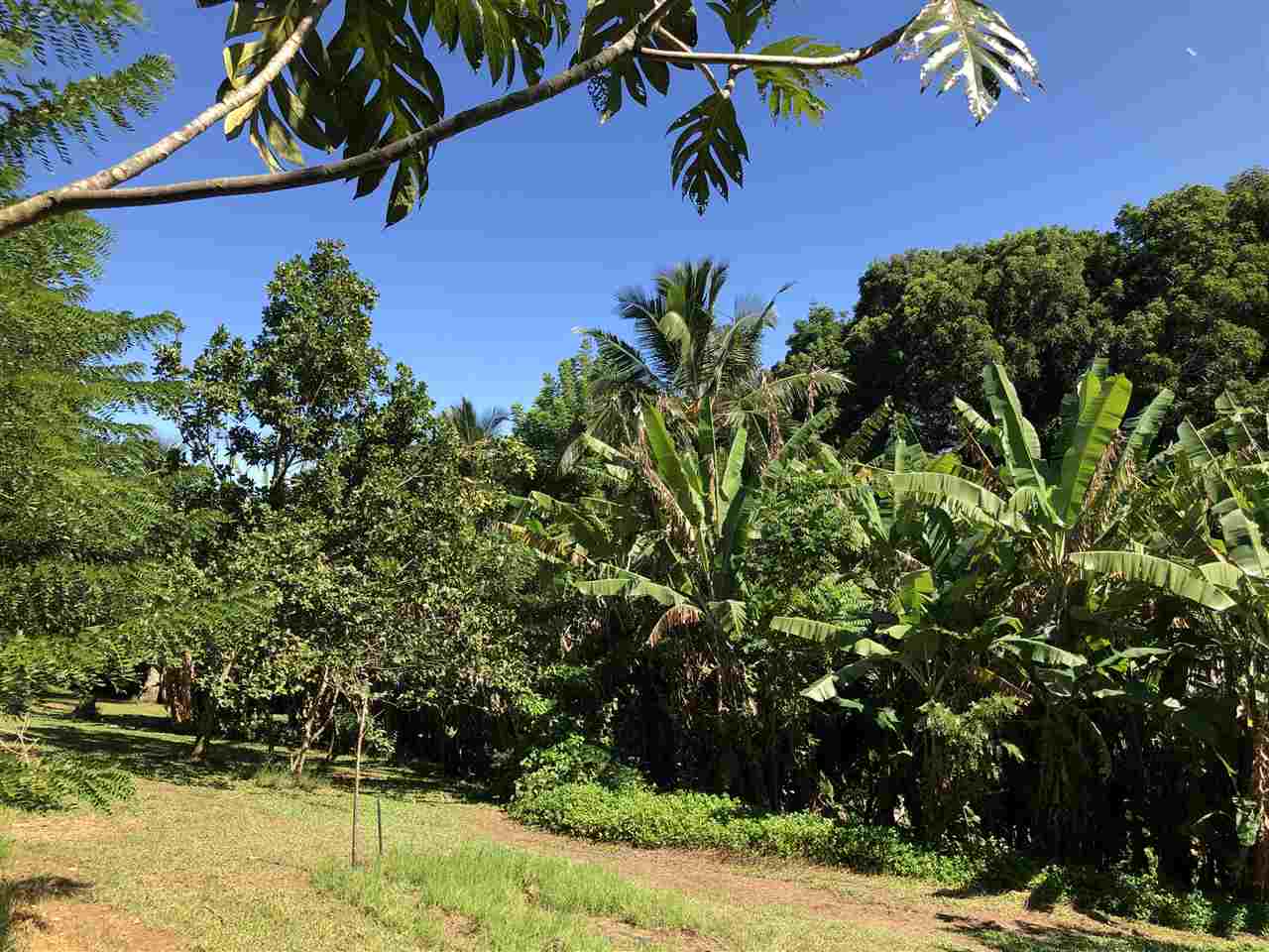 19 Door Of Faith Road Haiku, HI 96708 - Photo 29 of 30 a view of a backyard of a house