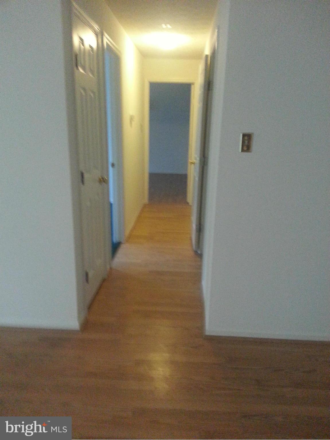 Interior (General)