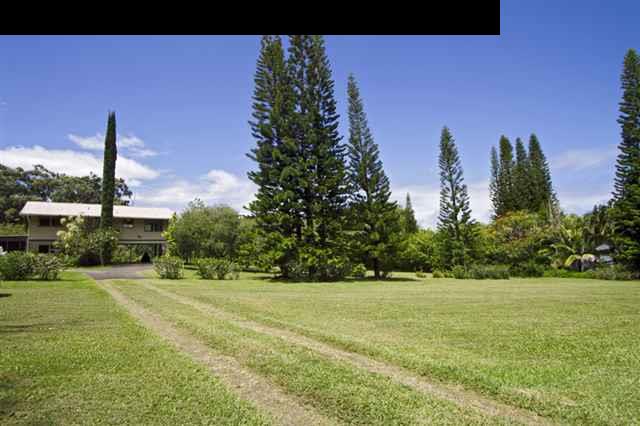 a view of a garden
