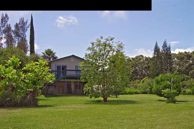 40 Kapuai Road Haiku, HI 96708 - Photo 11 of 29 a big yard with potted plants and large trees