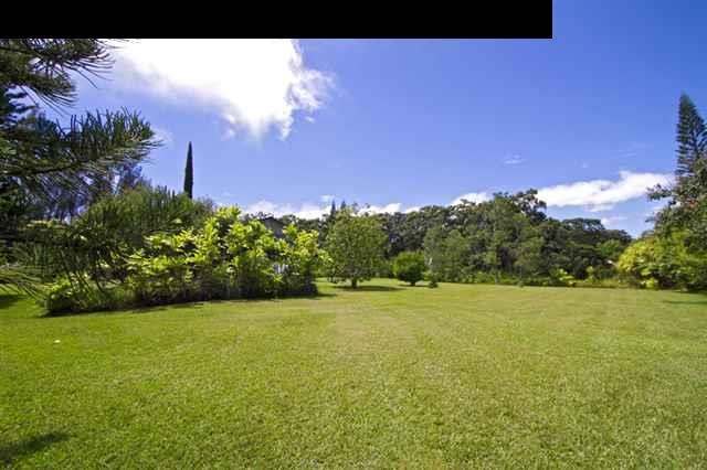 40 Kapuai Road Haiku, HI 96708 - Photo 12 of 29 a view of a big yard with a large tree and a yard