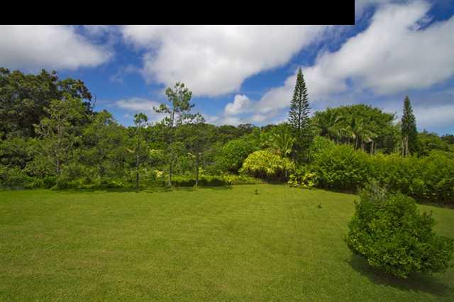 40 Kapuai Road Haiku, HI 96708 - Photo 9 of 29 a view of a big yard with plants and large trees