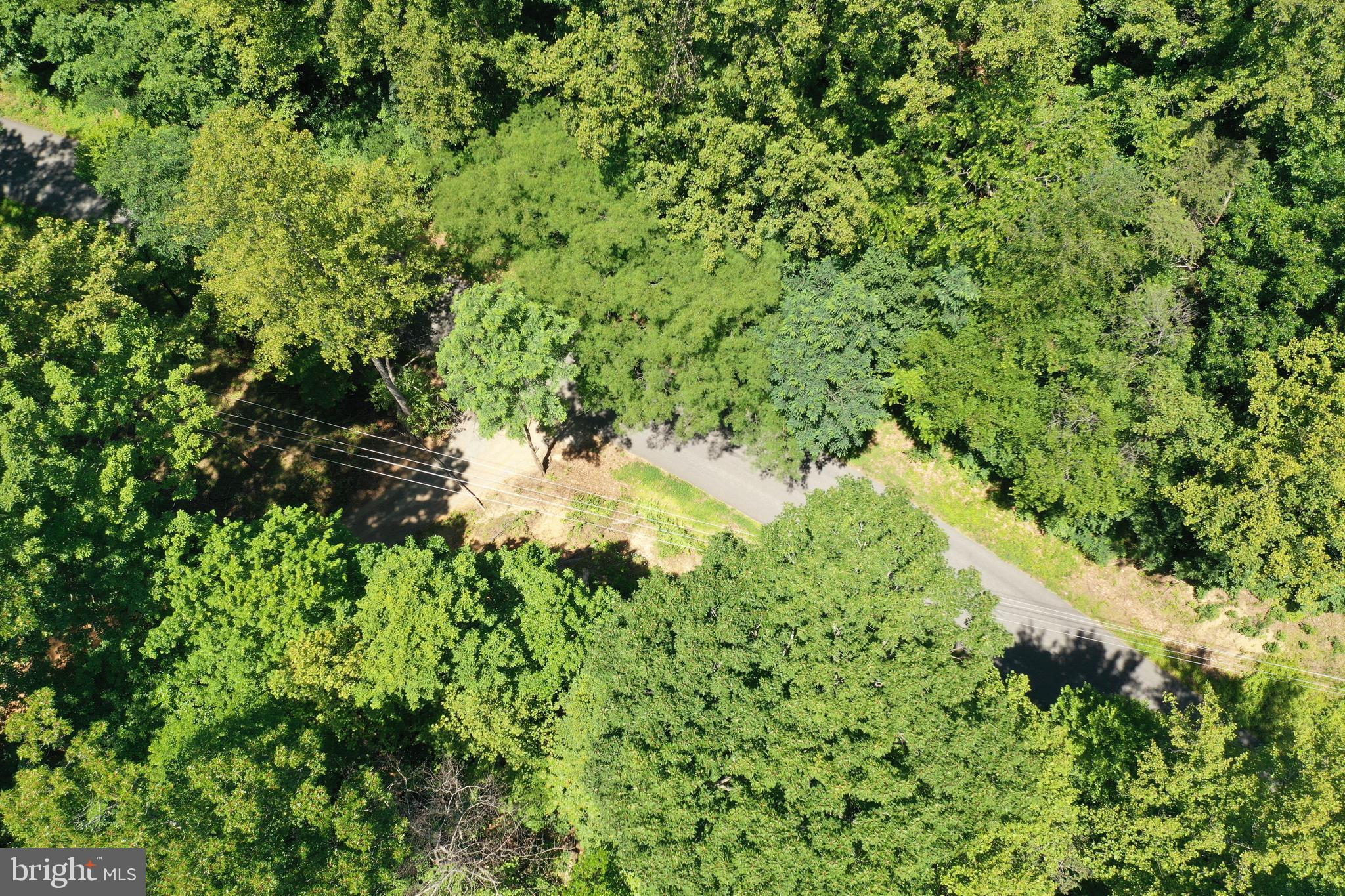 0 Thoroughfare Road, Unit LOT 1 Culpeper, VA 22701 - Photo 8 of 10