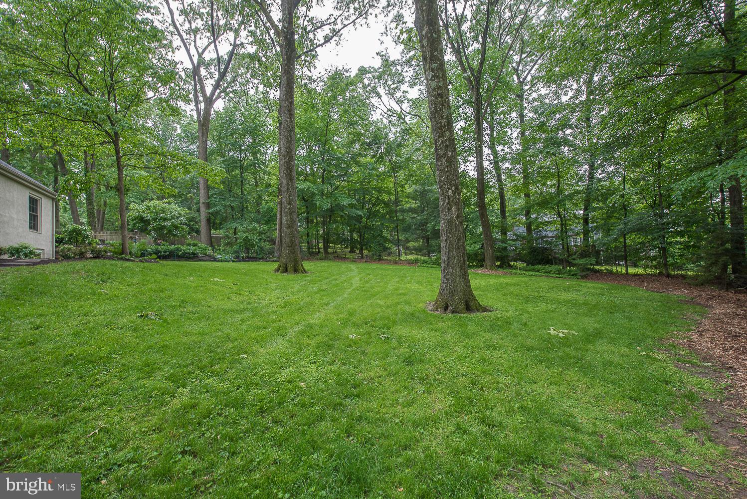 610 Timber Lane Devon, PA 19333 - Photo 34 of 35 Backyard