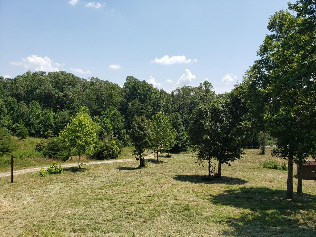 259 Pleasant Hill Road Philadelphia, TN 37846 - Photo 2 of 31 85634563456356