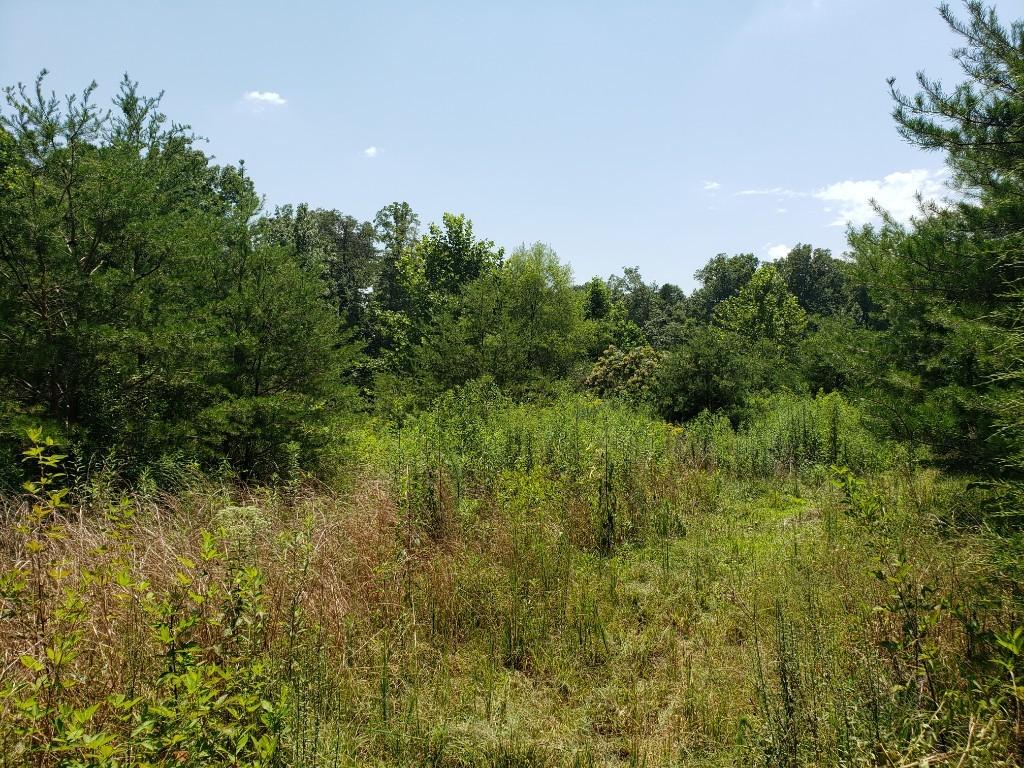 259 Pleasant Hill Road Philadelphia, TN 37846 - Photo 12 of 31 9876567898765678