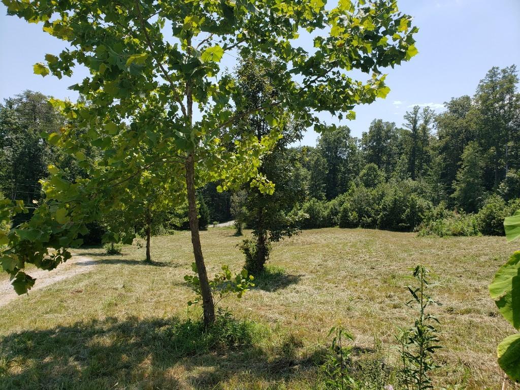 259 Pleasant Hill Road Philadelphia, TN 37846 - Photo 3 of 31 78567856785687