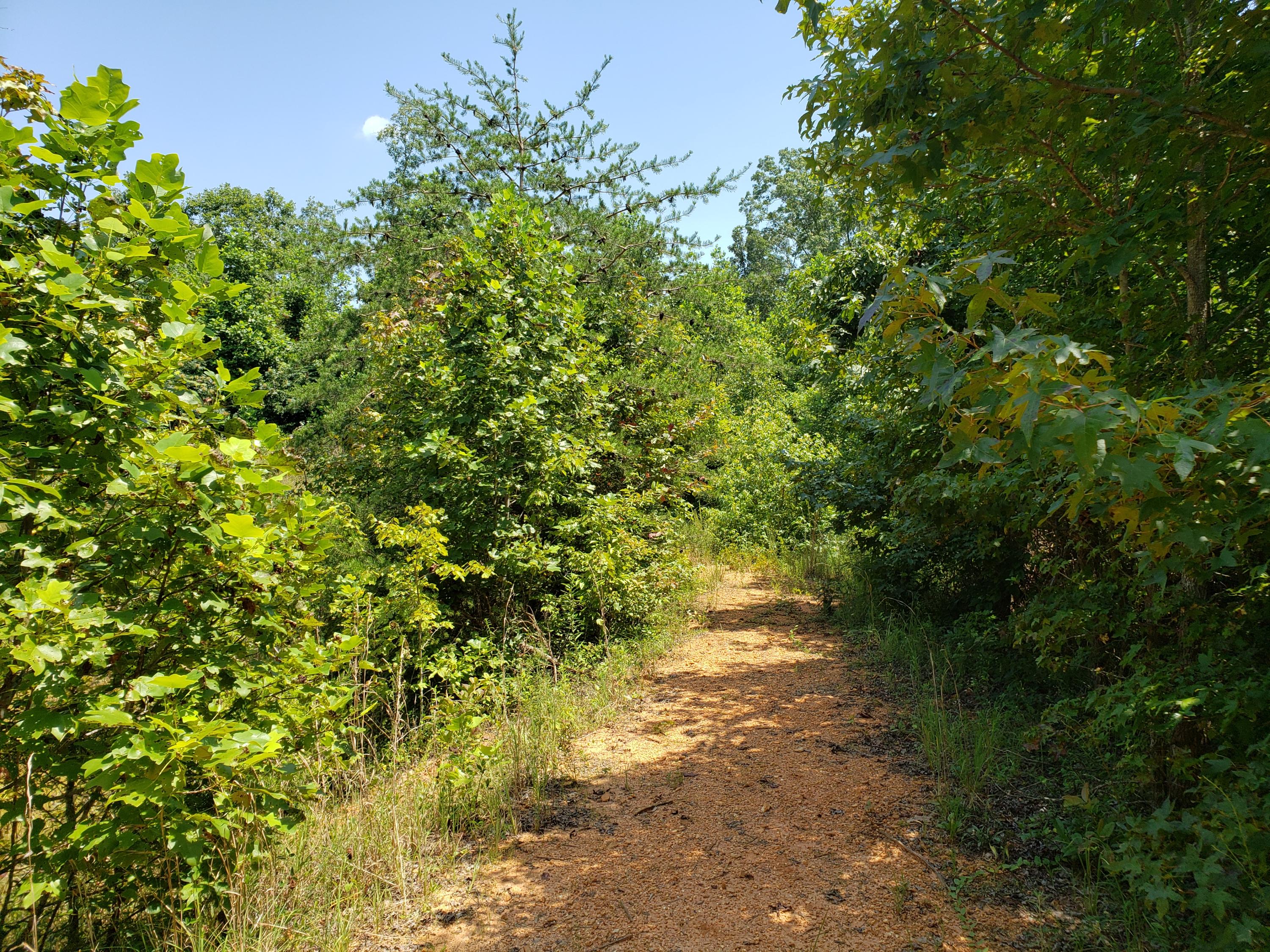 259 Pleasant Hill Road Philadelphia, TN 37846 - Photo 26 of 31 76543