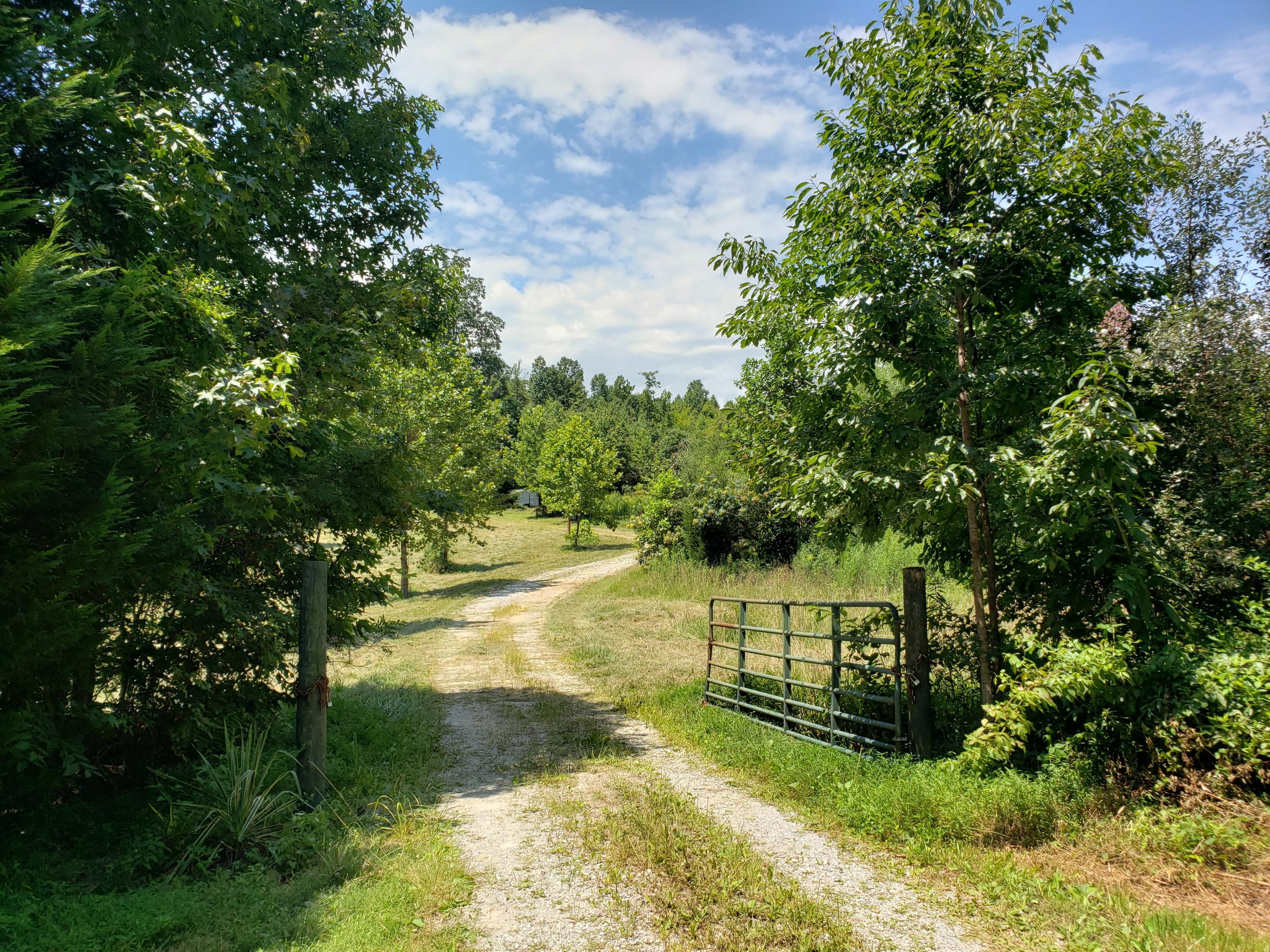 259 Pleasant Hill Road Philadelphia, TN 37846 - Photo 29 of 31 56765654565456