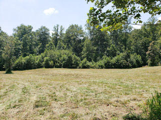 259 Pleasant Hill Road Philadelphia, TN 37846 - Photo 6 of 31 111
