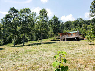 259 Pleasant Hill Road Philadelphia, TN 37846 - Photo 10 of 31 524