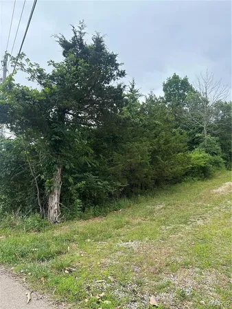 $6,500 | 0 Marseilles Drive, Bonne Terre, MO 63628