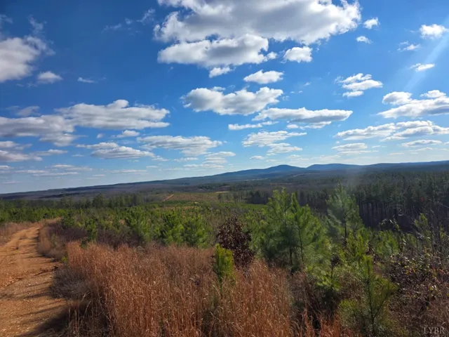 a view of a lake in between the city