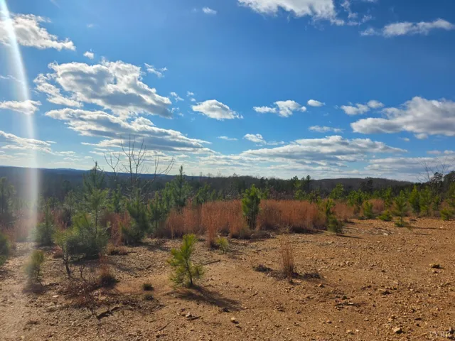 a view of a dry yard with wooden fence