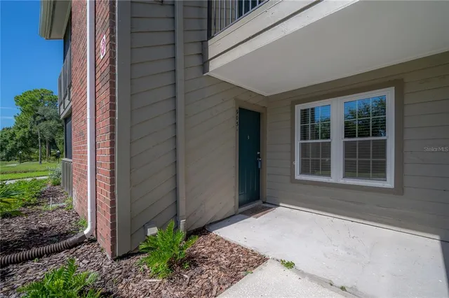 a view of a back yard