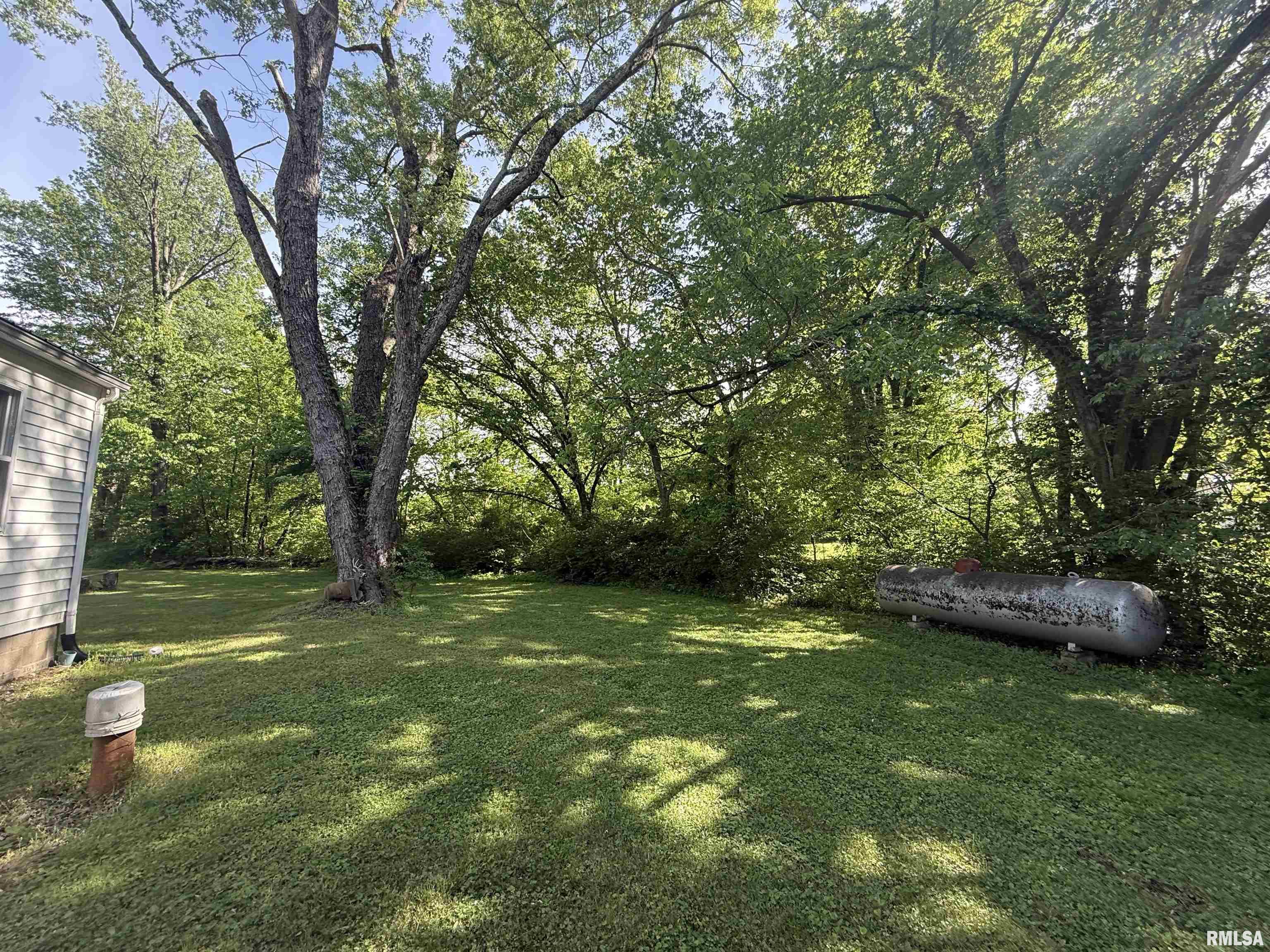 1250 Fair City Road Jonesboro, IL 62952 - Photo 17 of 24