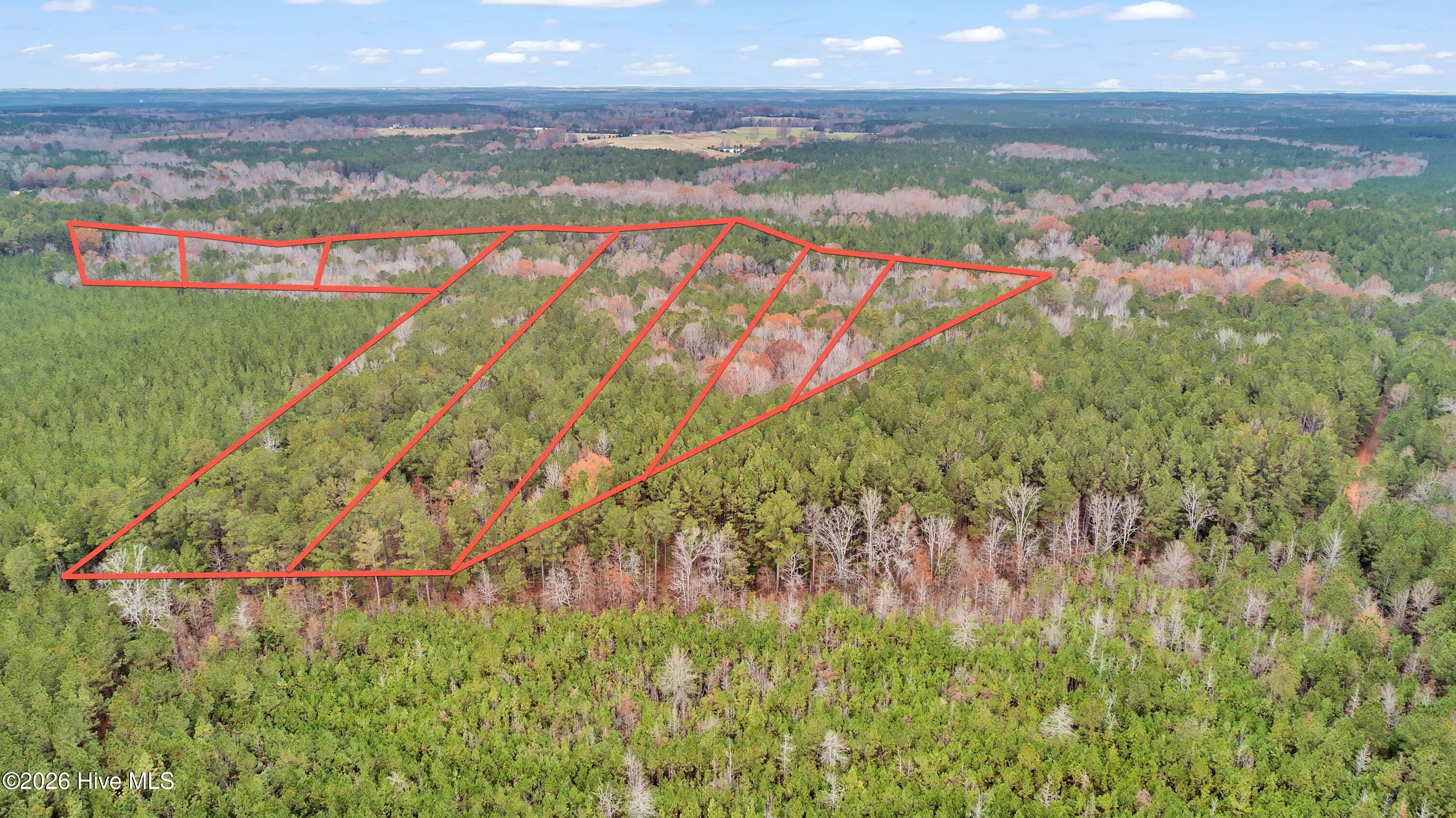 Lot 4 Saggus Road Washington, GA 30673 - Photo 16 of 25 Saggus Rd land 121-007A, 400ft View, Dro