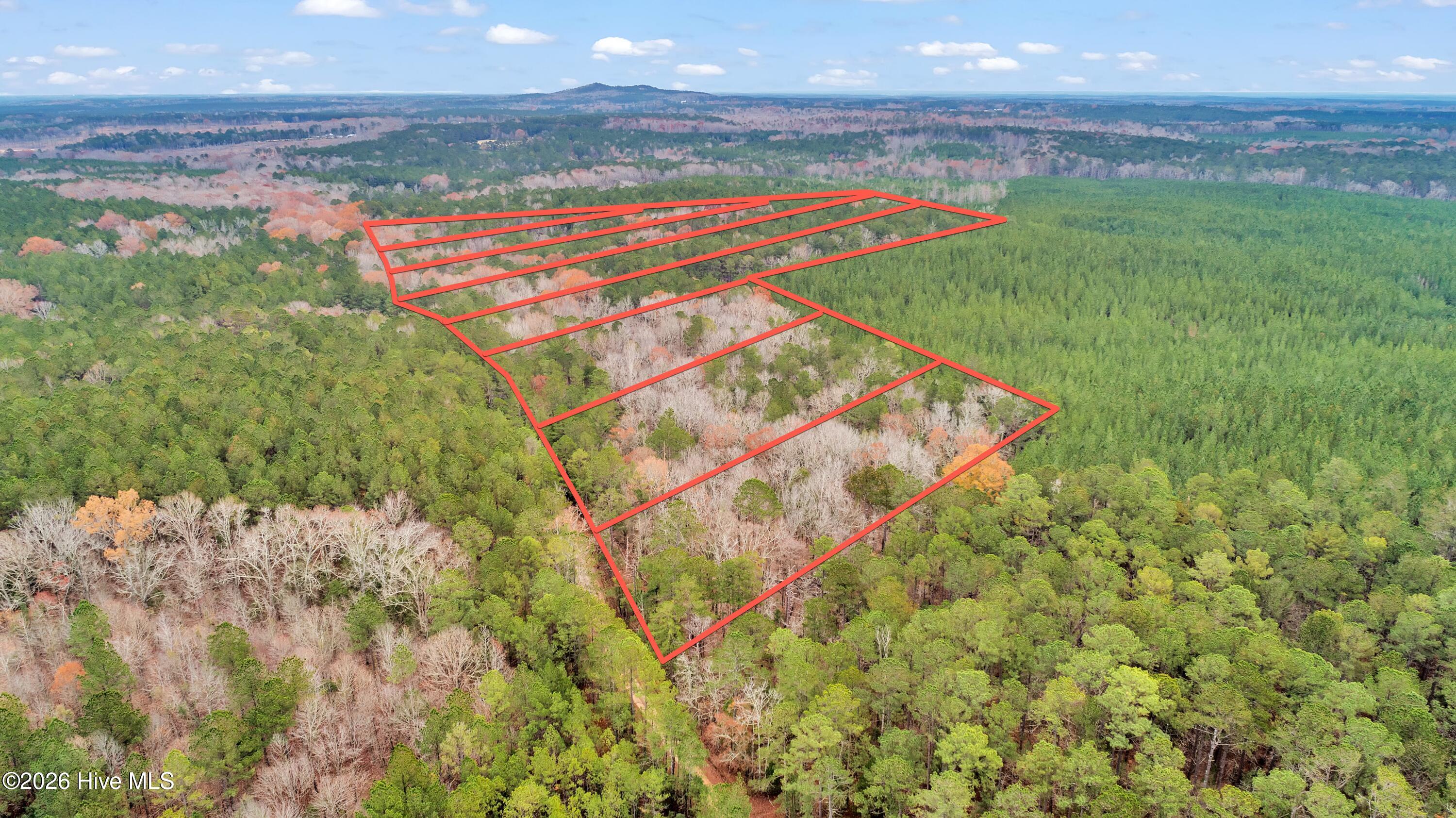 Lot 4 Saggus Road Washington, GA 30673 - Photo 19 of 25 Saggus Rd land 121-007A, 400ft View, Dro