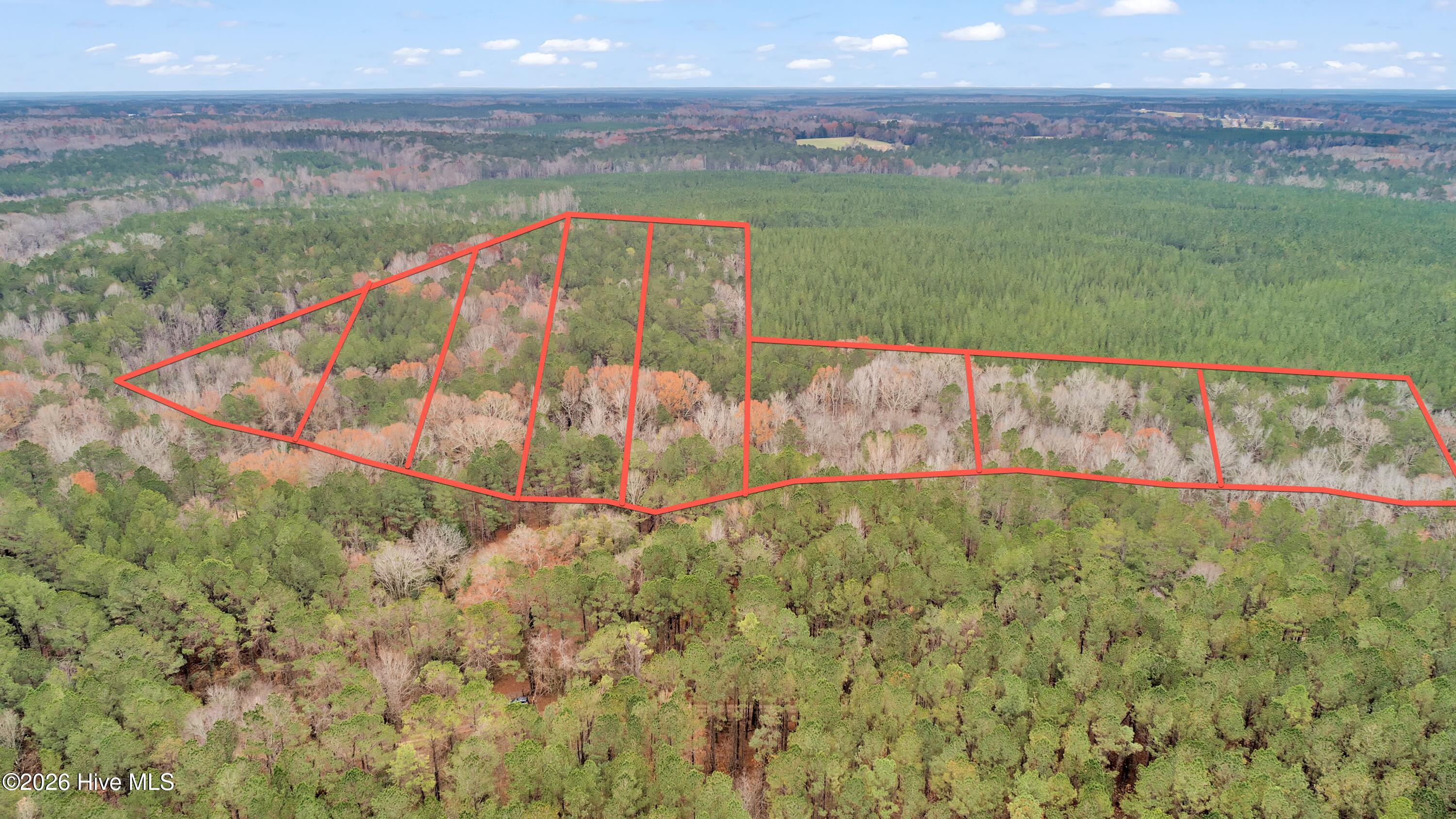 Lot 4 Saggus Road Washington, GA 30673 - Photo 20 of 25 Saggus Rd land 121-007A, 400ft View, Dro