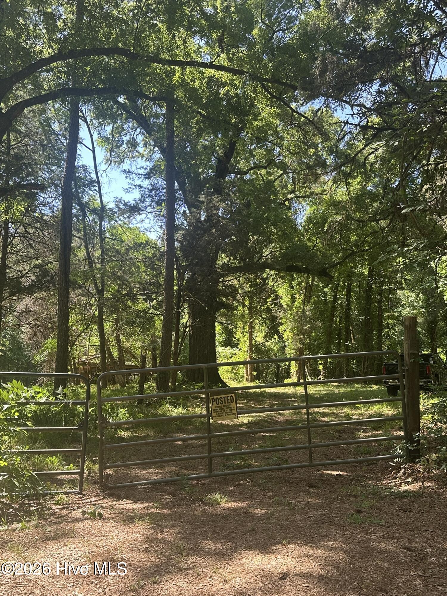 Lot 4 Saggus Road Washington, GA 30673 - Photo 2 of 25 IMG_2235