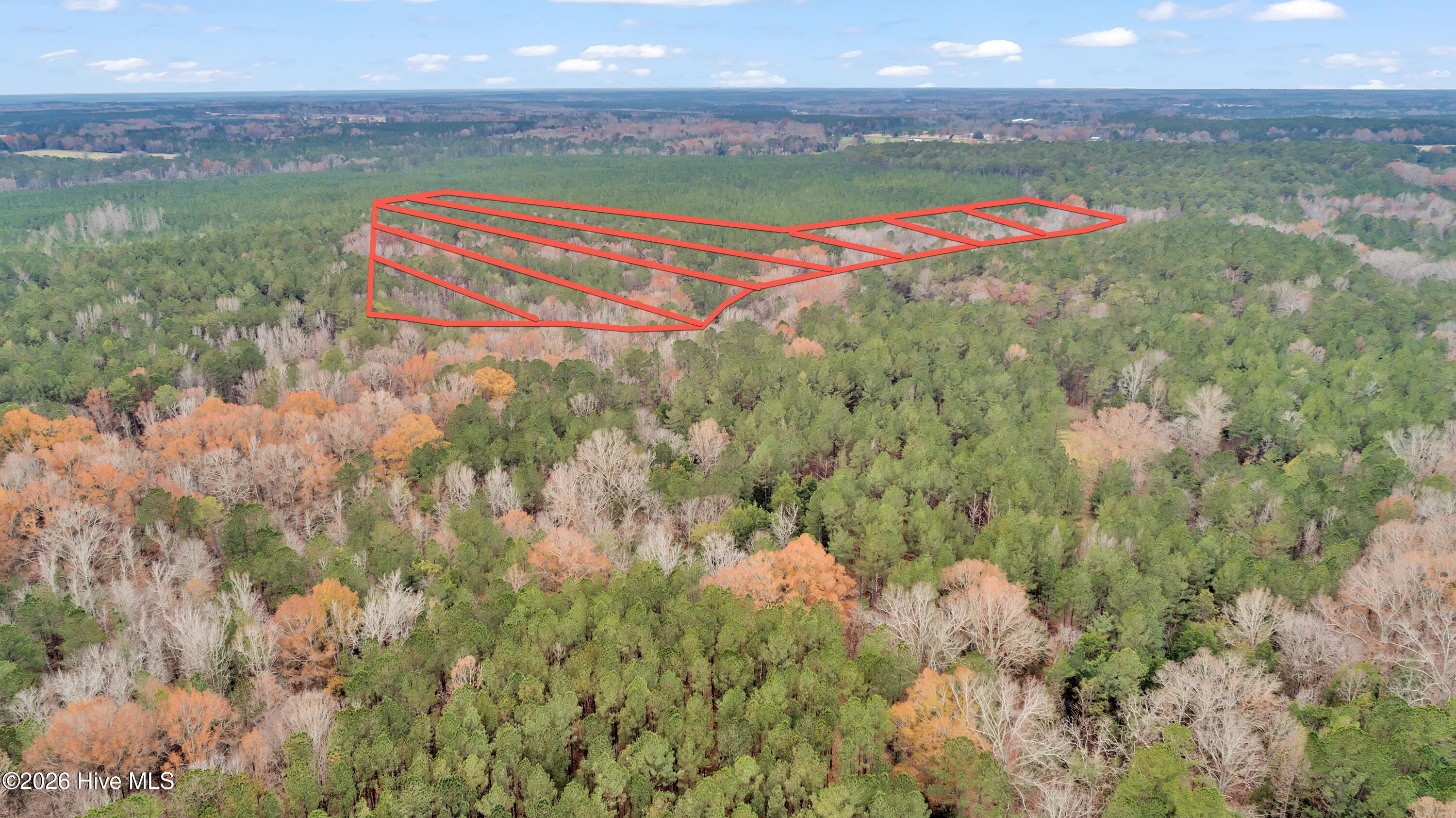 Lot 4 Saggus Road Washington, GA 30673 - Photo 21 of 25 Saggus Rd land 121-007A, 400ft View, Dro