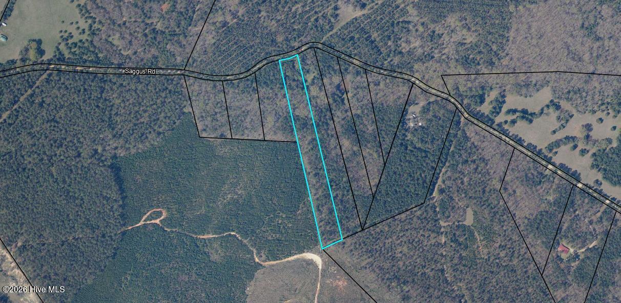 Lot 4 Saggus Road Washington, GA 30673 - Photo 25 of 25 map