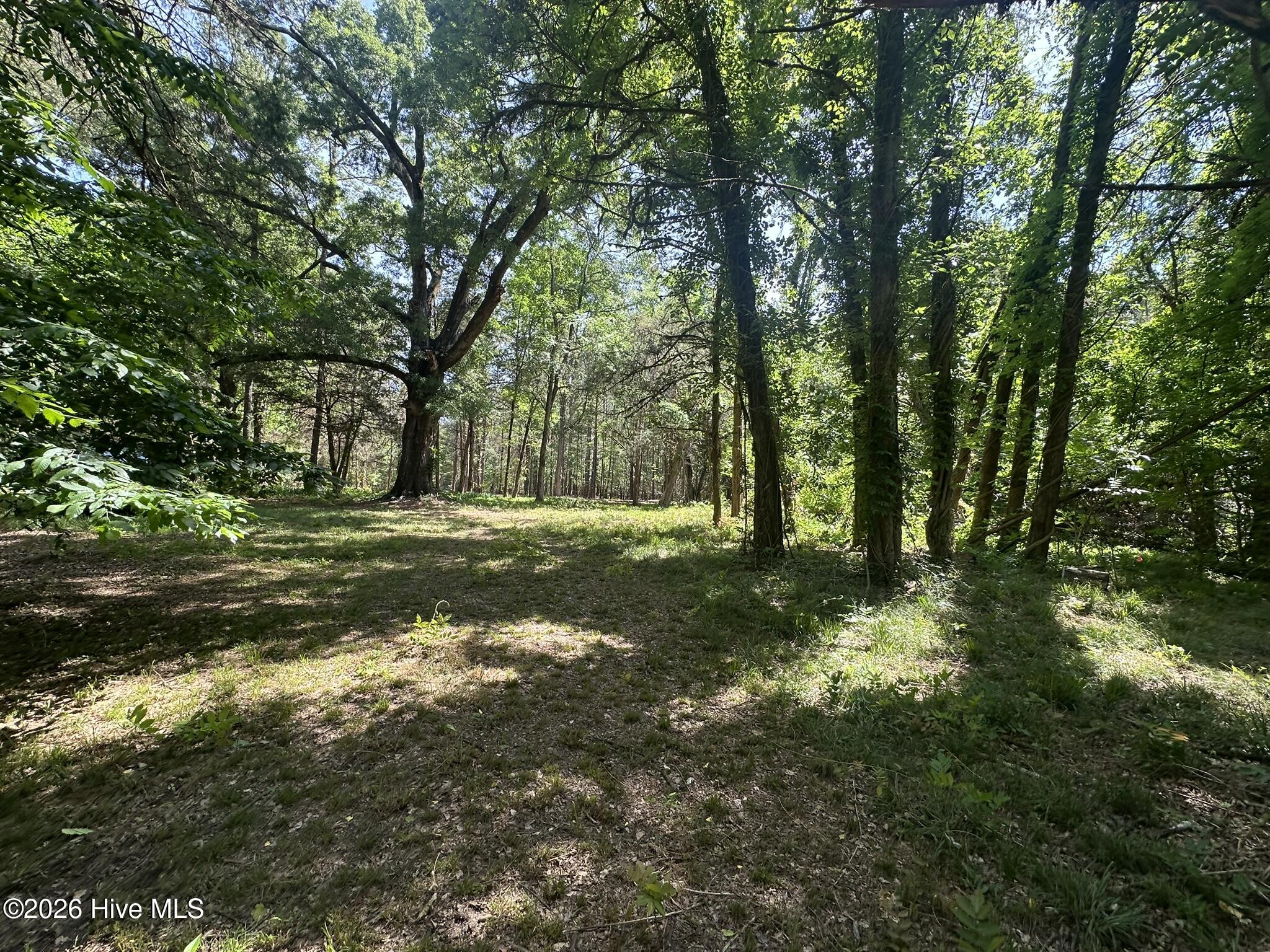 Lot 4 Saggus Road Washington, GA 30673 - Photo 6 of 25 IMG_2238