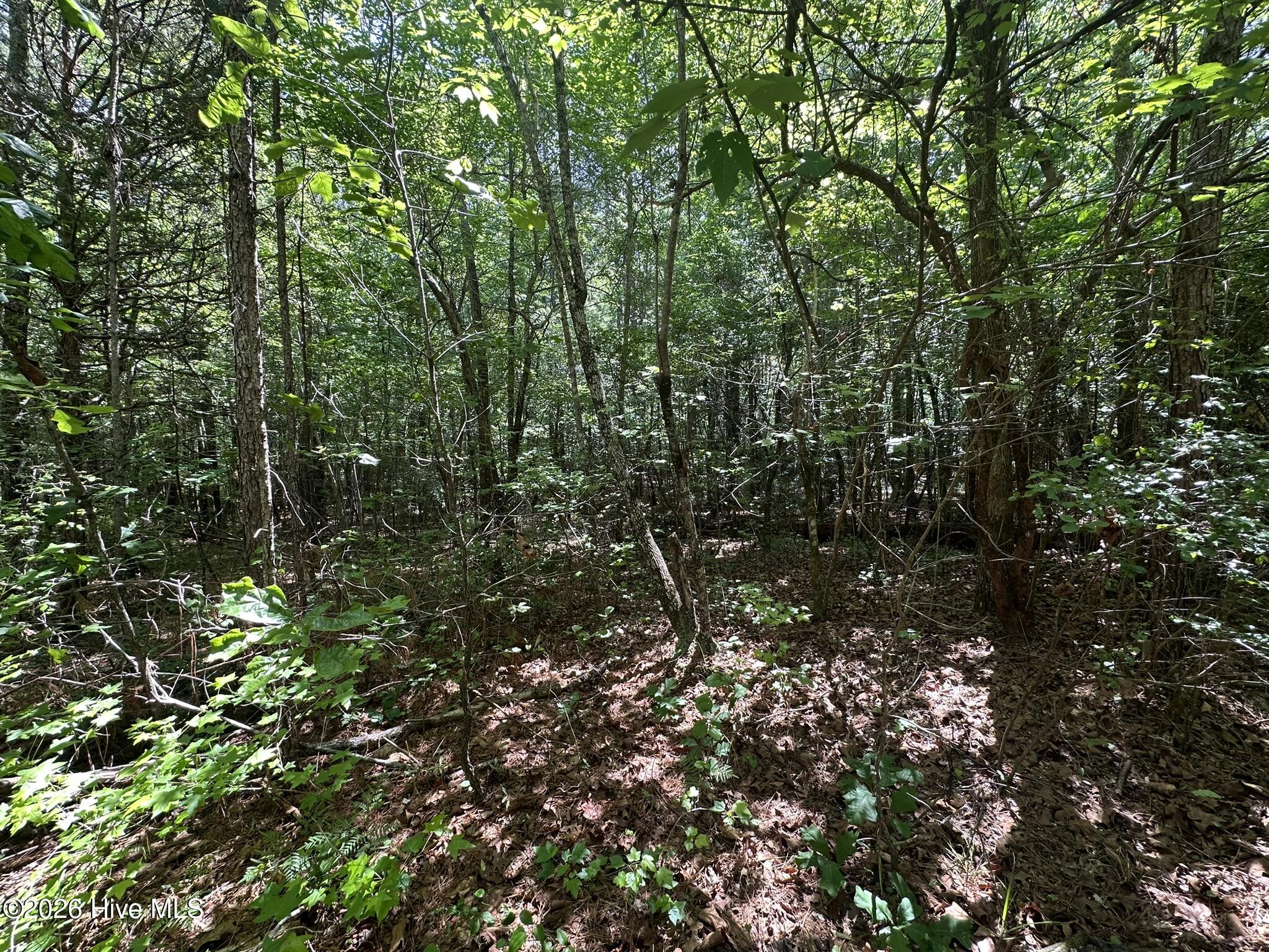 Lot 4 Saggus Road Washington, GA 30673 - Photo 8 of 25 IMG_2240