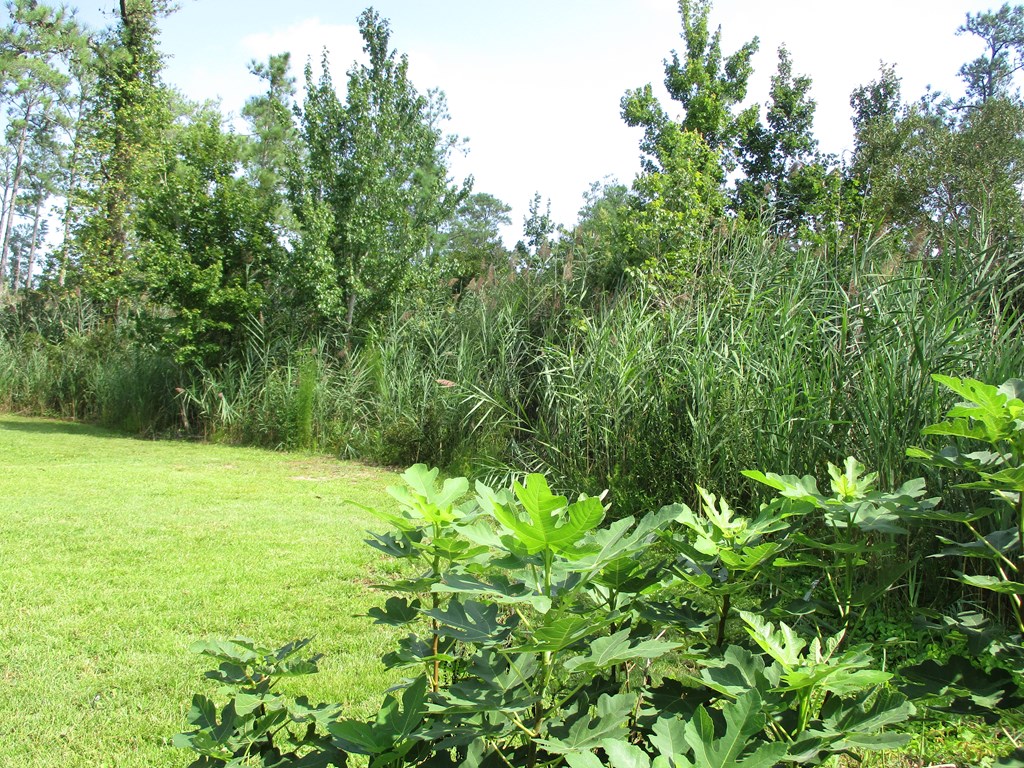 12969 Cattail Road Mears, VA 23409 - Photo 4 of 15 Gallery Image 4