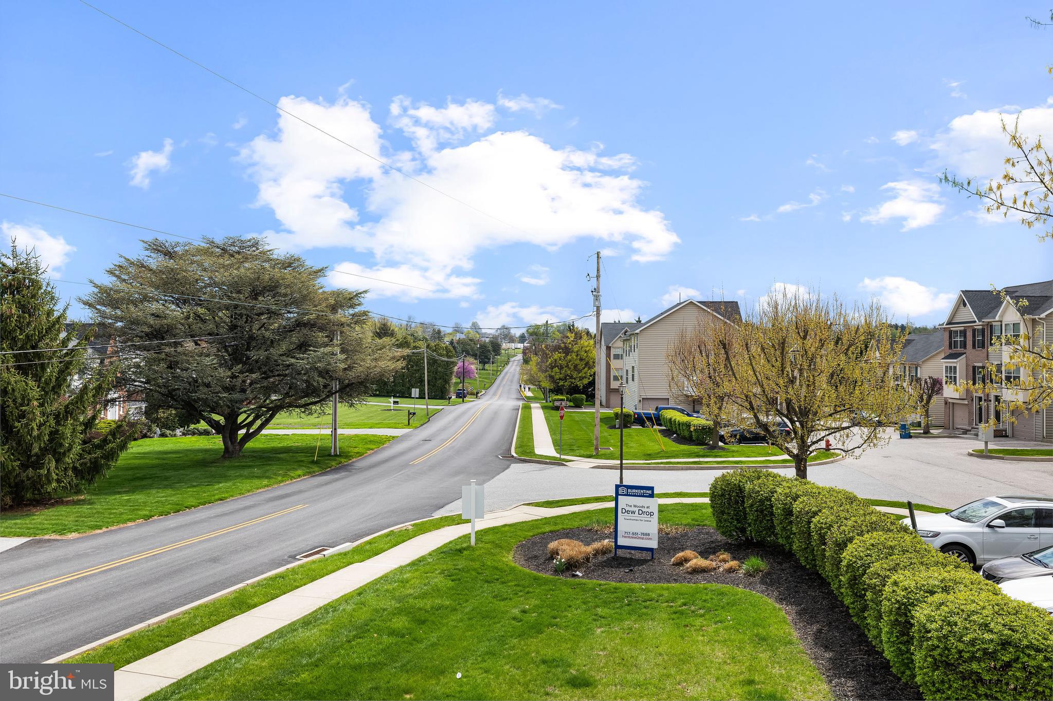 10 Shady Tree Court York, PA 17402 - Photo 3 of 30 a view of a park with large trees