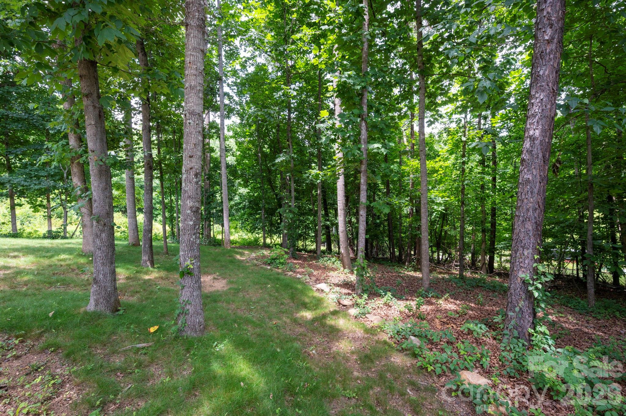 58 Shuler Road Candler, NC 28715 - Photo 25 of 25