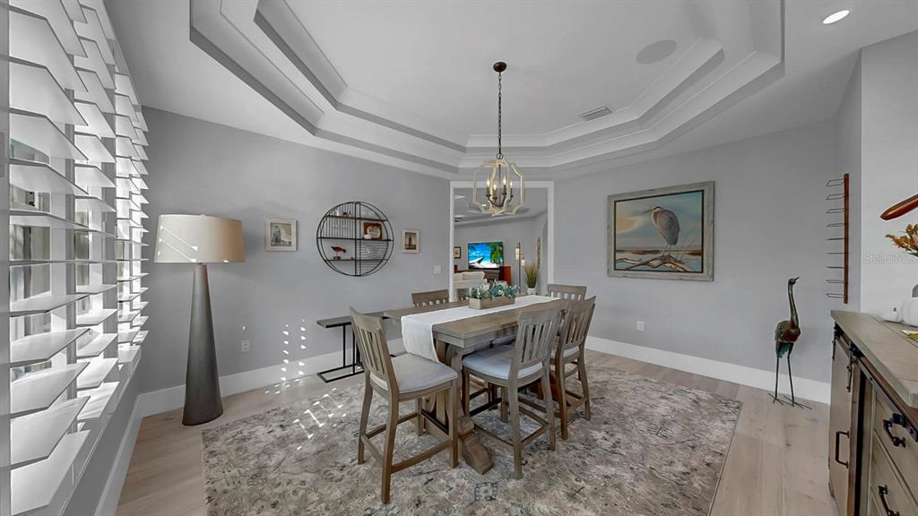 701 Pinckney Drive Apollo Beach, FL 33572 - Photo 24 of 99