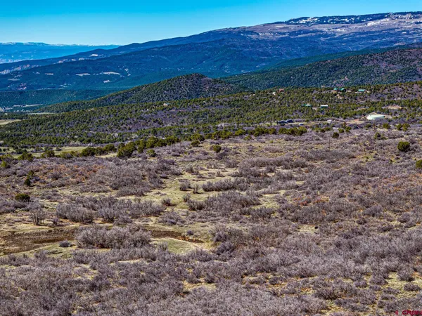a view of a large building with a mountain in the background
