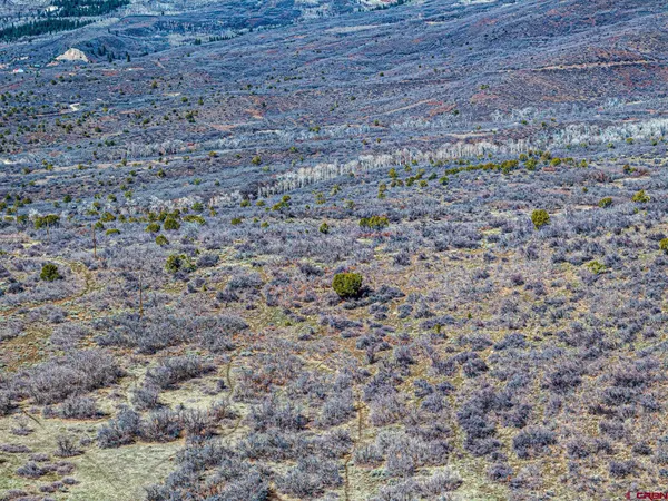 a view of a dry yard
